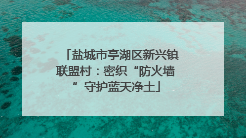 盐城市亭湖区新兴镇联盟村：密织“防火墙”守护蓝天净土