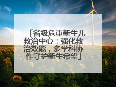 省级危重新生儿救治中心：强化救治效能，多学科协作守护新生希望