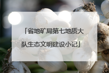 省地矿局第七地质大队生态文明建设小记