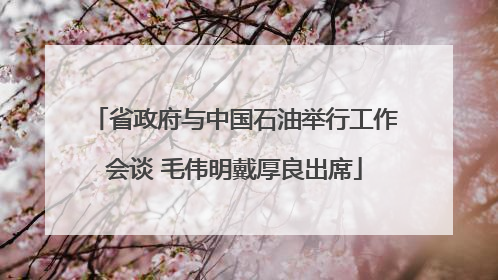 省政府与中国石油举行工作会谈 毛伟明戴厚良出席