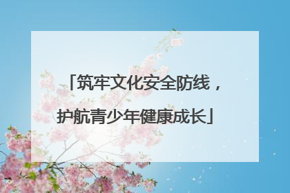 筑牢文化安全防线，护航青少年健康成长