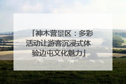 神木营景区：多彩活动让游客沉浸式体验边屯文化魅力