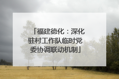 福建德化：深化驻村工作队临时党委协调联动机制