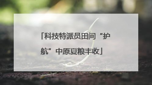科技特派员田间“护航”中原夏粮丰收