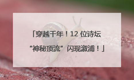 穿越千年！12 位诗坛“神秘顶流”闪现溆浦！