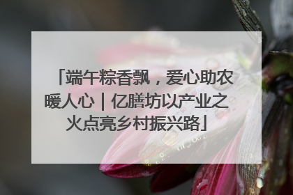 端午粽香飘，爱心助农暖人心｜亿膳坊以产业之火点亮乡村振兴路