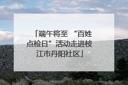 端午将至 “百姓点检日”活动走进枝江市丹阳社区