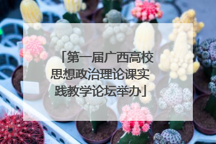 第一届广西高校思想政治理论课实践教学论坛举办
