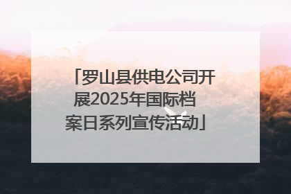 罗山县供电公司开展2025年国际档案日系列宣传活动