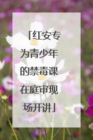 红安专为青少年的禁毒课在庭审现场开讲