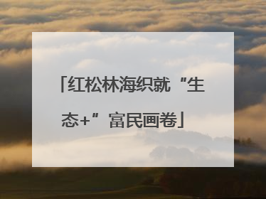 红松林海织就“生态+”富民画卷