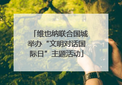 维也纳联合国城举办“文明对话国际日”主题活动