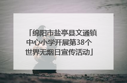 绵阳市盐亭县文通镇中心小学开展第38个世界无烟日宣传活动