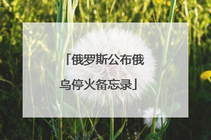 俄罗斯公布俄乌停火备忘录