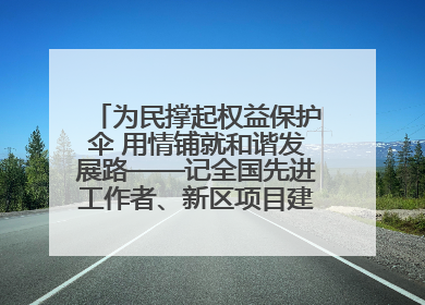 为民撑起权益保护伞 用情铺就和谐发展路——记全国先进工作者、新区项目建设中心干部卢小勇