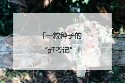 一粒种子的“赶考记”