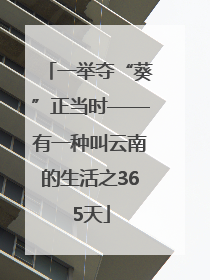 一举夺“葵”正当时——有一种叫云南的生活之365天