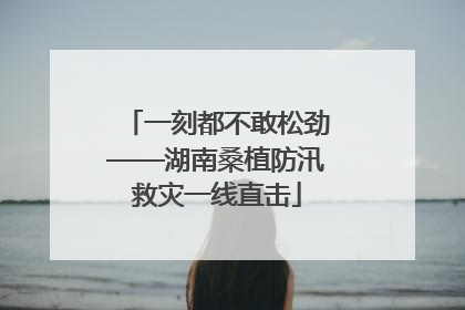 一刻都不敢松劲——湖南桑植防汛救灾一线直击