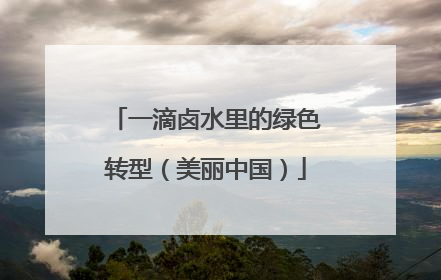 一滴卤水里的绿色转型（美丽中国）