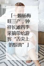 一颗杨梅旺三产，钟祥长滩四季采摘带给游客“舌尖上的惊喜”