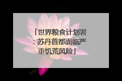 世界粮食计划署：苏丹首都面临严重饥荒风险