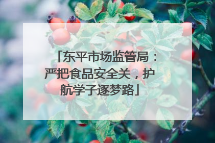 东平市场监管局：严把食品安全关，护航学子逐梦路