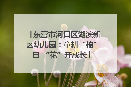 东营市河口区湖滨新区幼儿园：童耕“棉”田 “花”开成长