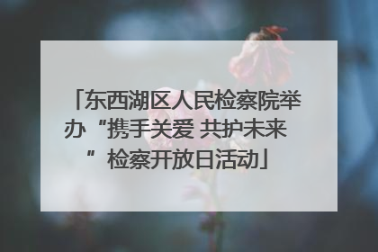 东西湖区人民检察院举办“携手关爱 共护未来”检察开放日活动
