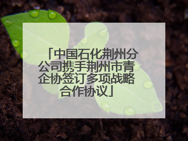 中国石化荆州分公司携手荆州市青企协签订多项战略合作协议