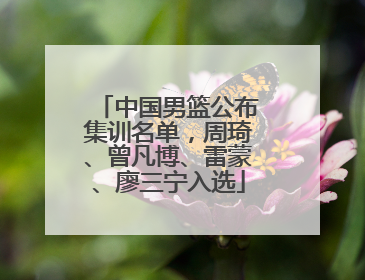 中国男篮公布集训名单，周琦、曾凡博、雷蒙、廖三宁入选