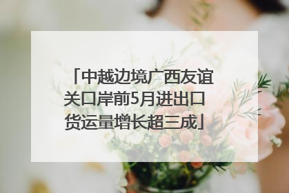 中越边境广西友谊关口岸前5月进出口货运量增长超三成