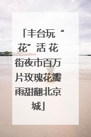 丰台玩“花”活 花街夜市百万片玫瑰花瓣雨甜翻北京城