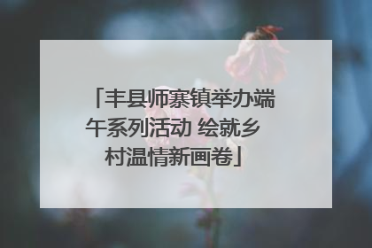 丰县师寨镇举办端午系列活动 绘就乡村温情新画卷