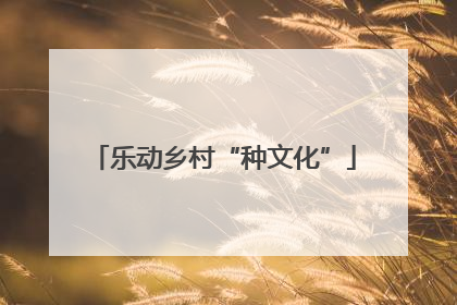 乐动乡村“种文化”