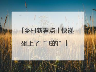 乡村新看点丨快递坐上了“飞的”