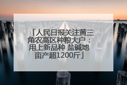 人民日报关注黄三角农高区种粮大户：用上新品种 盐碱地亩产超1200斤