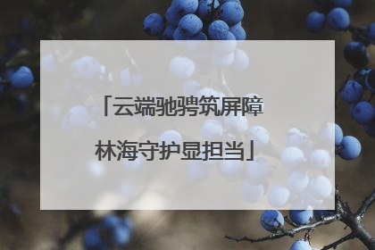 云端驰骋筑屏障 林海守护显担当