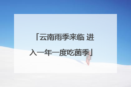 云南雨季来临 进入一年一度吃菌季
