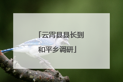云霄县县长到和平乡调研