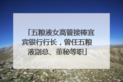 五粮液女高管接棒宜宾银行行长，曾任五粮液副总、董秘等职