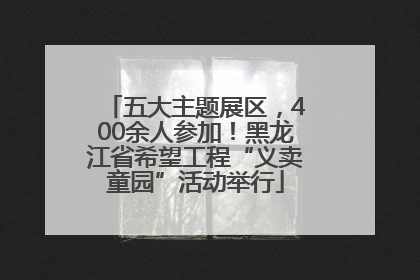 五大主题展区，400余人参加！黑龙江省希望工程“义卖童园”活动举行