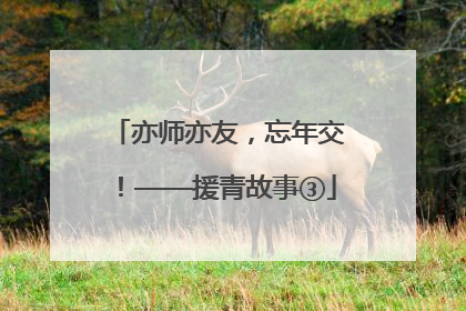 亦师亦友，忘年交！——援青故事③