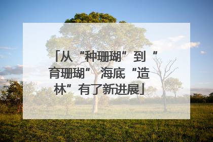 从“种珊瑚”到“育珊瑚” 海底“造林”有了新进展