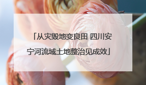 从灾毁地变良田 四川安宁河流域土地整治见成效