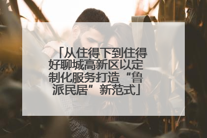 从住得下到住得好聊城高新区以定制化服务打造“鲁派民居”新范式