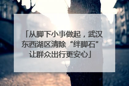 从脚下小事做起，武汉东西湖区清除“绊脚石”让群众出行更安心