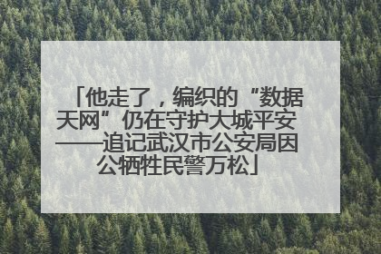 他走了，编织的“数据天网”仍在守护大城平安——追记武汉市公安局因公牺牲民警万松