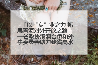 以“专”业之力 拓展青海对外开放之路——省政协港澳台侨和外事委员会助力我省高水平开放和高质量发展