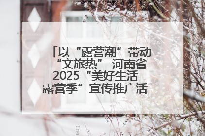 以“露营潮”带动“文旅热” 河南省2025“美好生活露营季”宣传推广活动在平舆县启动