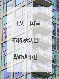 又一国宣布将承认巴勒斯坦国